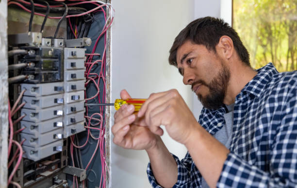 Best Generator Installation Services  in Camanche, IA